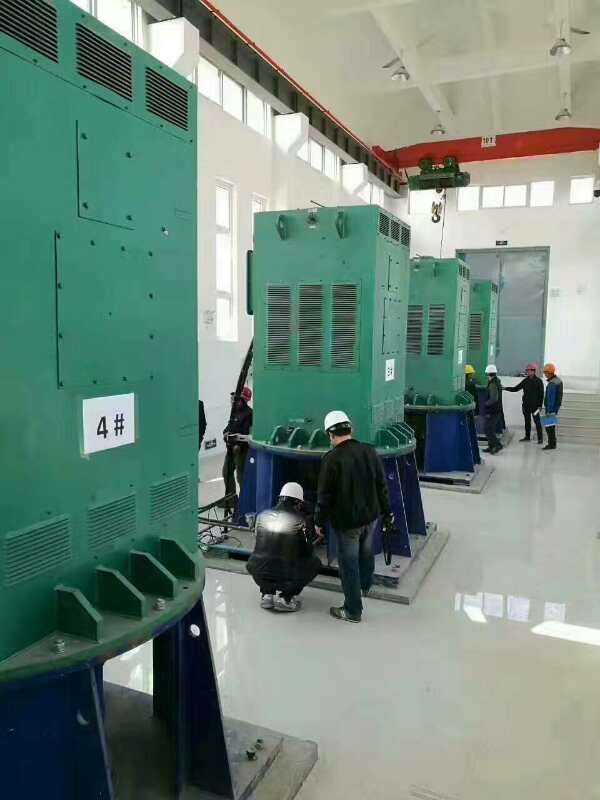 云龙某污水处理厂使用我厂的立式高压电机安装现场生产厂家